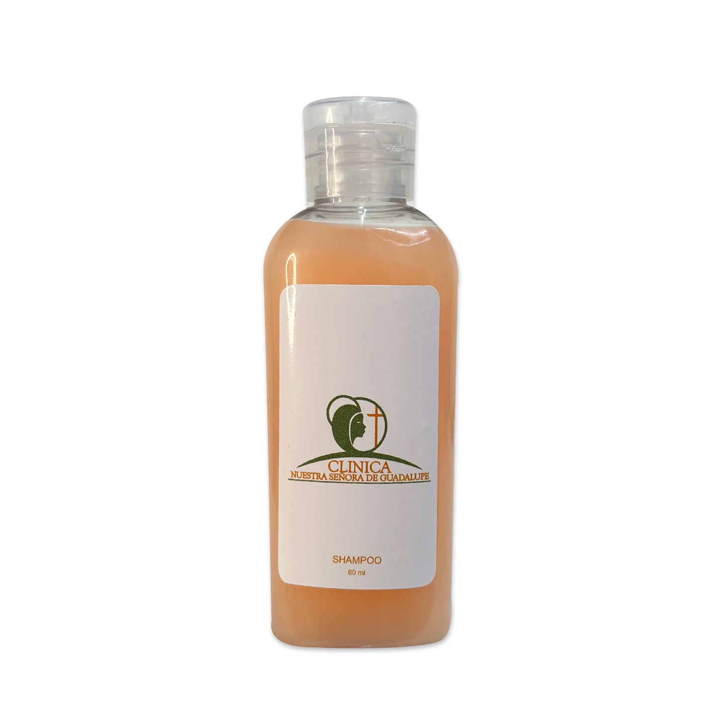 Shampoo | Festiboda