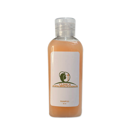 Shampoo | Festiboda