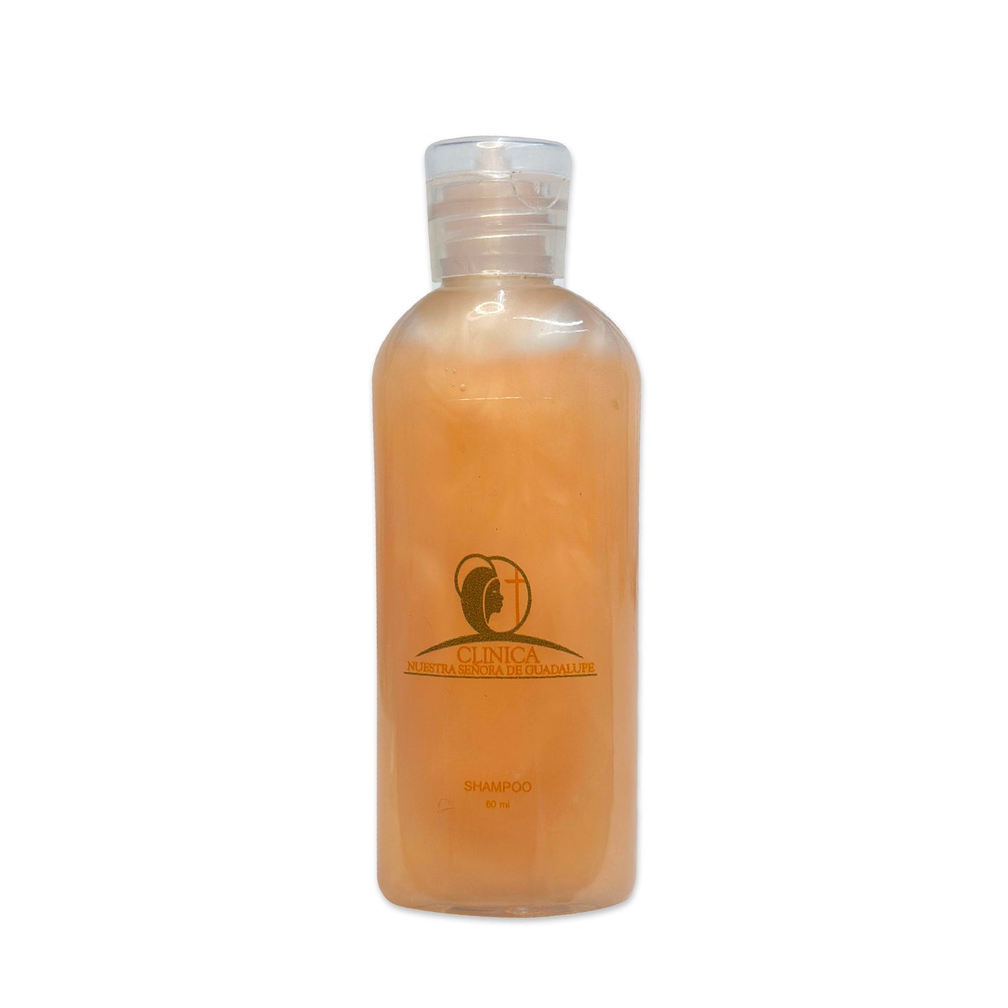 Shampoo | Festiboda