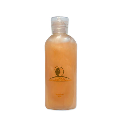Shampoo | Festiboda